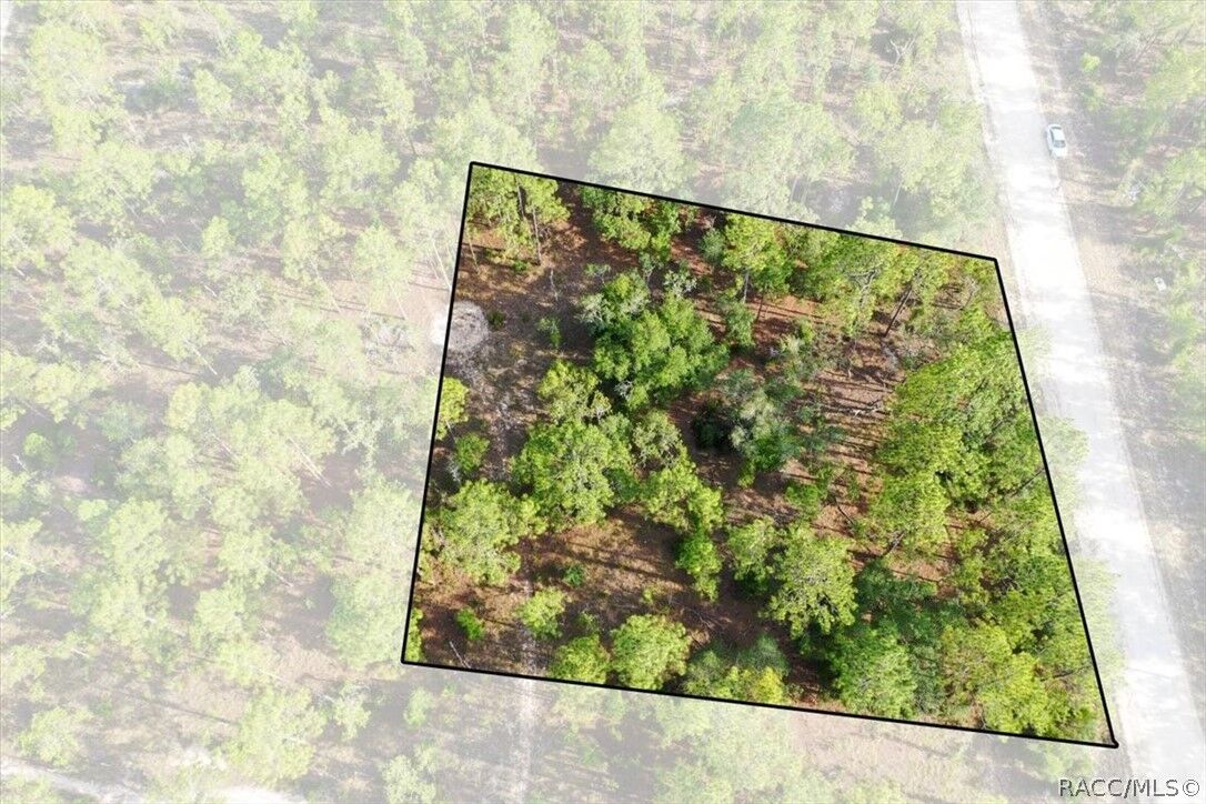 Property Photo:  0000 NE 131st Lot 9 Terrace  FL 32696 