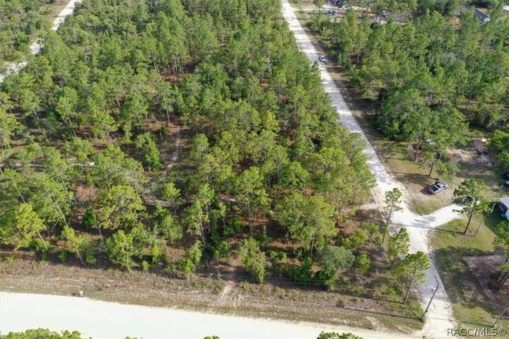 Property Photo:  0000 NE 131st Lot 10 Terrace  FL 32696 