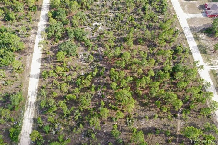 Property Photo:  0000 NE 132nd Lot 4 Terrace  FL 32696 