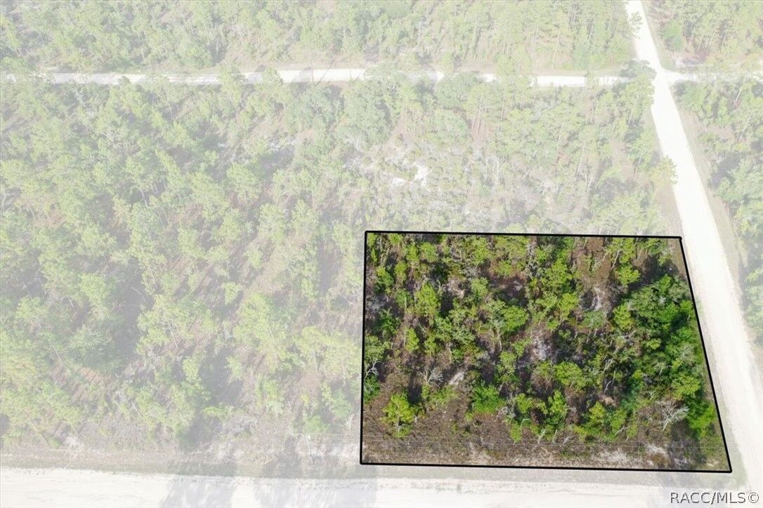 Property Photo:  0000 NE 131st Lot 6 Terrace  FL 32696 