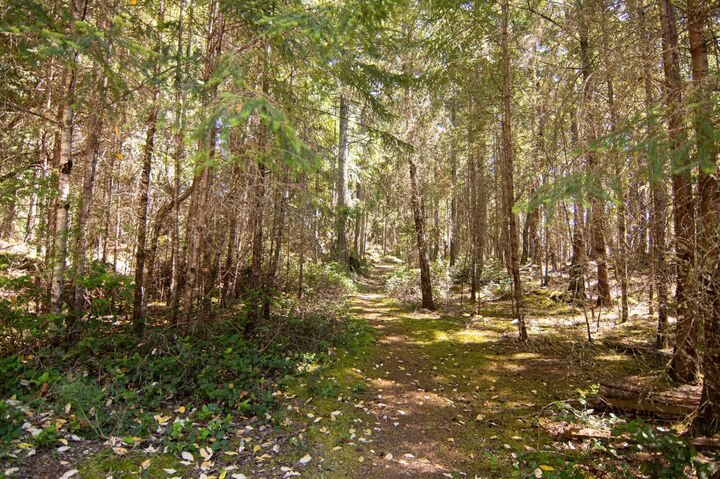 Property Photo:  340 Manastee Road 580  BC V0N 1P0 