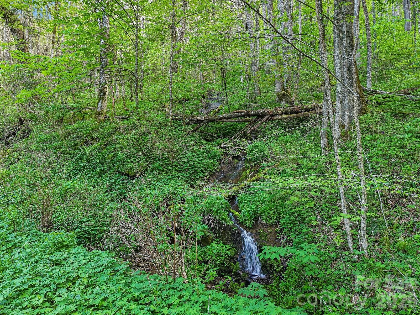Property Photo:  00 Star Crest Drive  NC 28785 