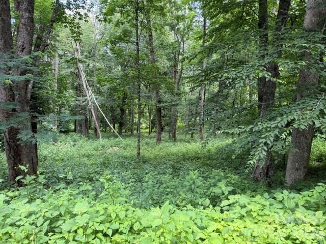 Property Photo:  Lot 6 Gadohi Trail 6  NC 28751 