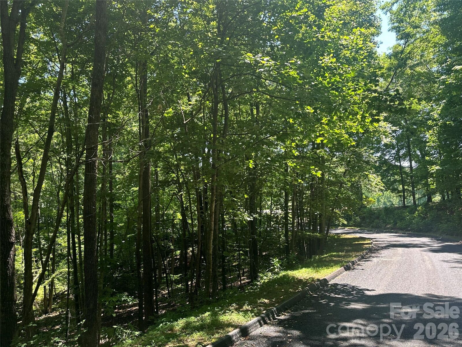 Property Photo: 0 Knoll Court NC 28746
