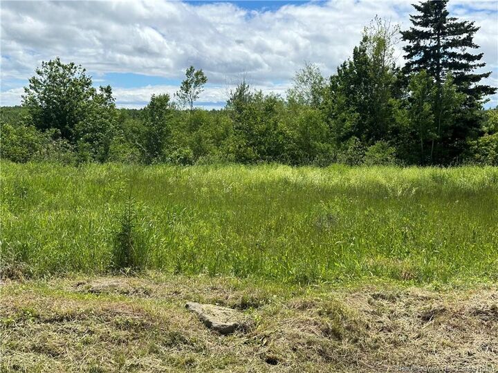 Property Photo:  Lot 72-1 Route 132  NB E1H 1Z3 