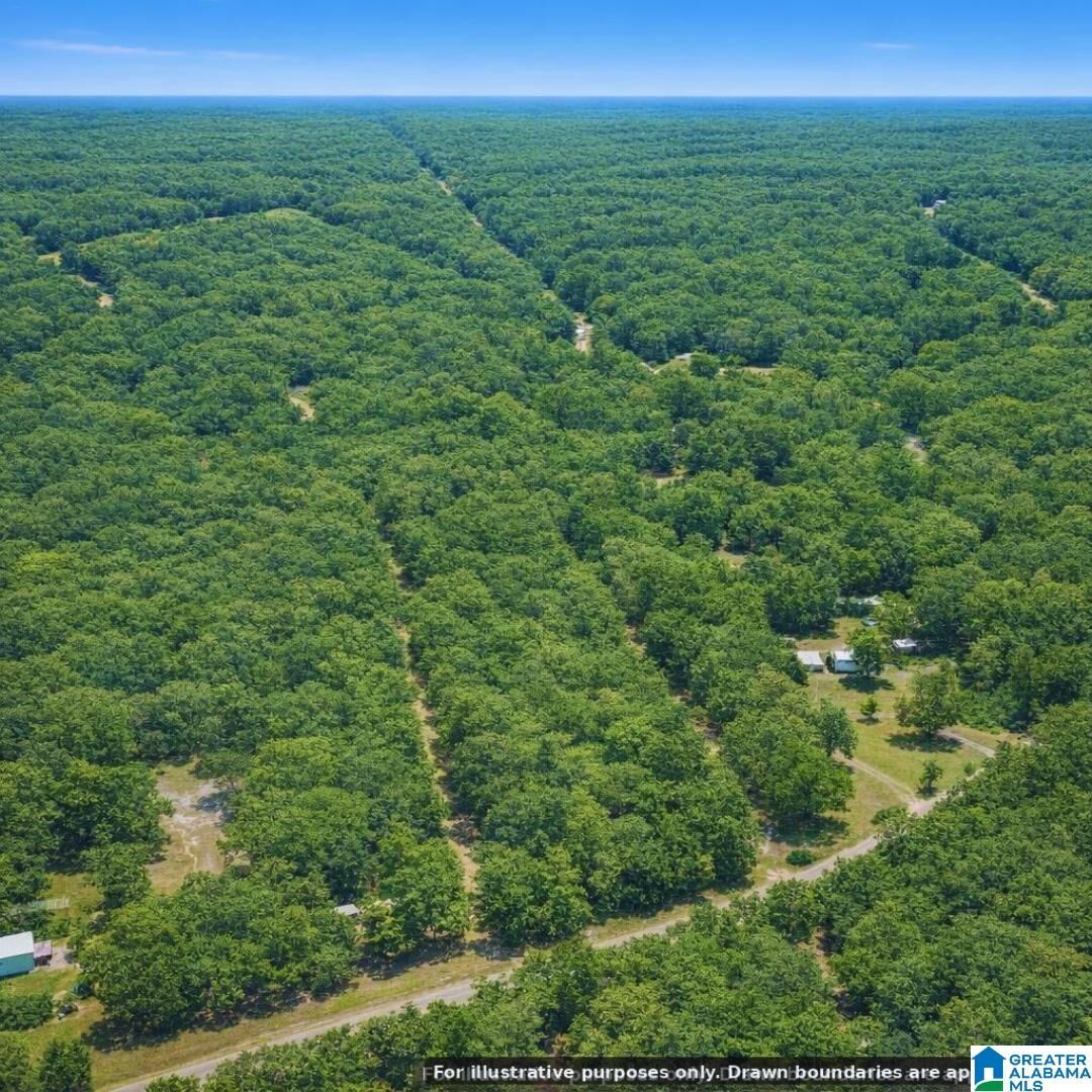 Property Photo: 10415 Arden Road 0 AL 36521