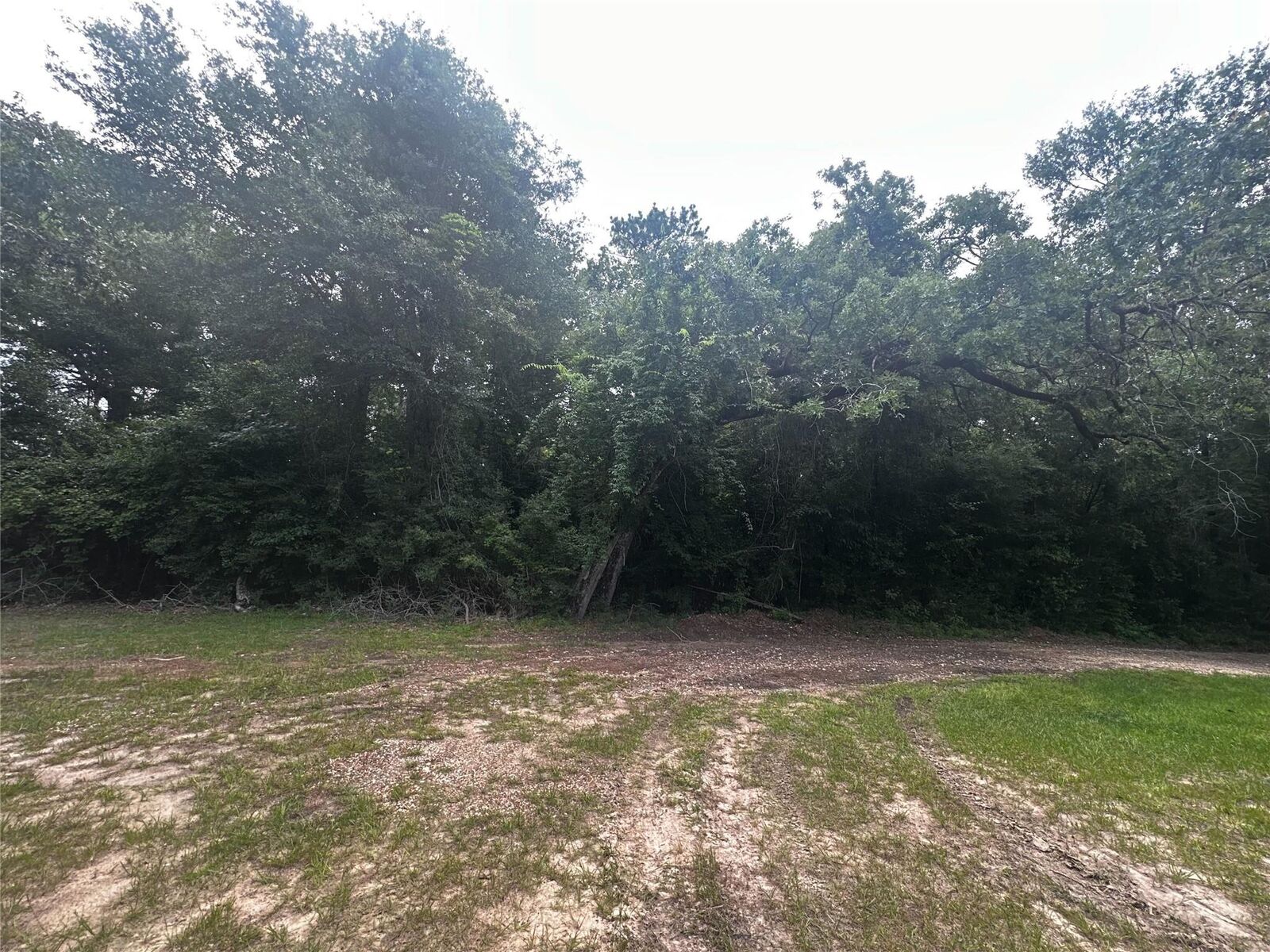 Property Photo:  Tbd Old Israel Road  TX 77351 