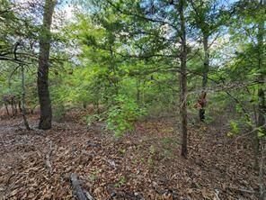 Property Photo: 0 County Road 4710 Lot 465 TX 75770