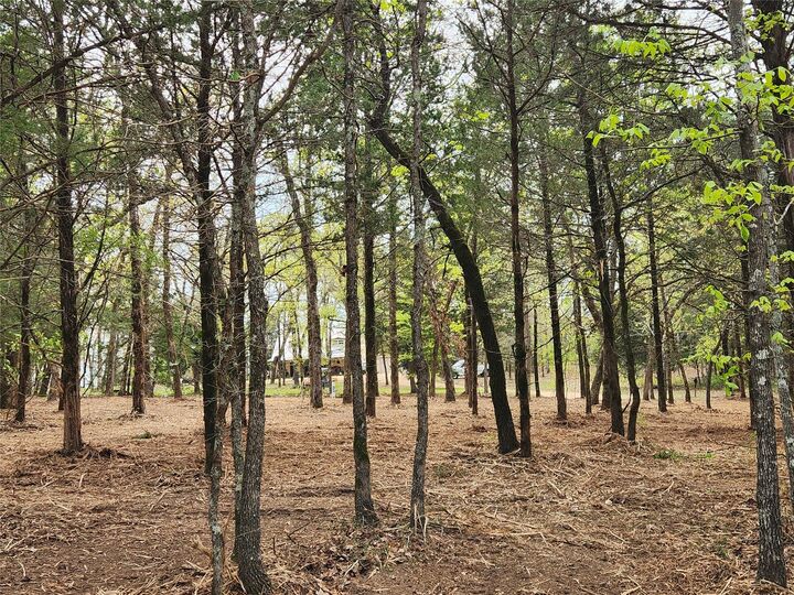 Property Photo: 0 County Road 4710 Lot 465 TX 75770