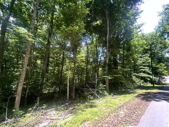 Property Photo:  1 Godsey Avenue  KY 42653 