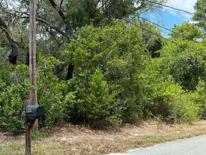 Property Photo:  10051 Waddell Street  FL 34654 