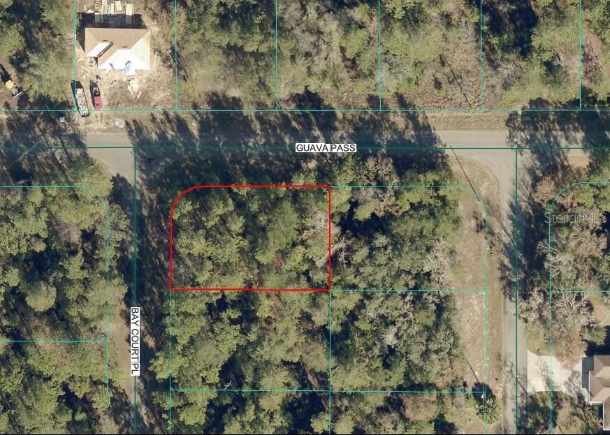 Property Photo: 00 Guava Pass FL 32179