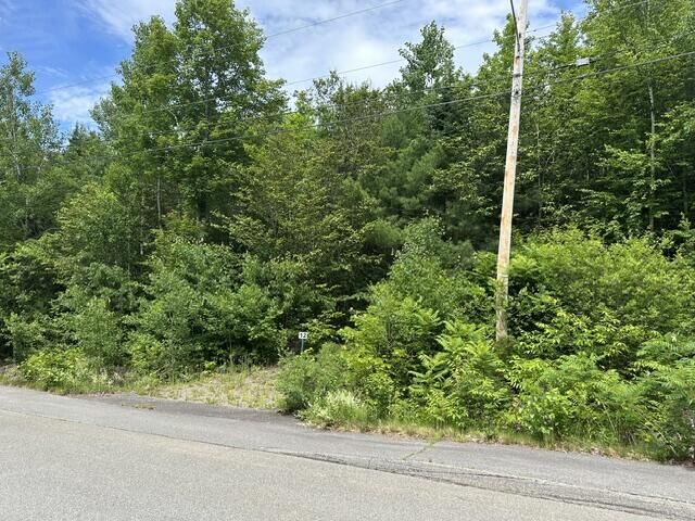 Property Photo:  Lot 12 Grant Road  ME 04473 