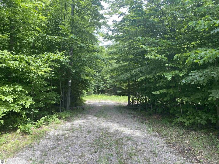 Property Photo:  Green Briar Road  MI 49650 
