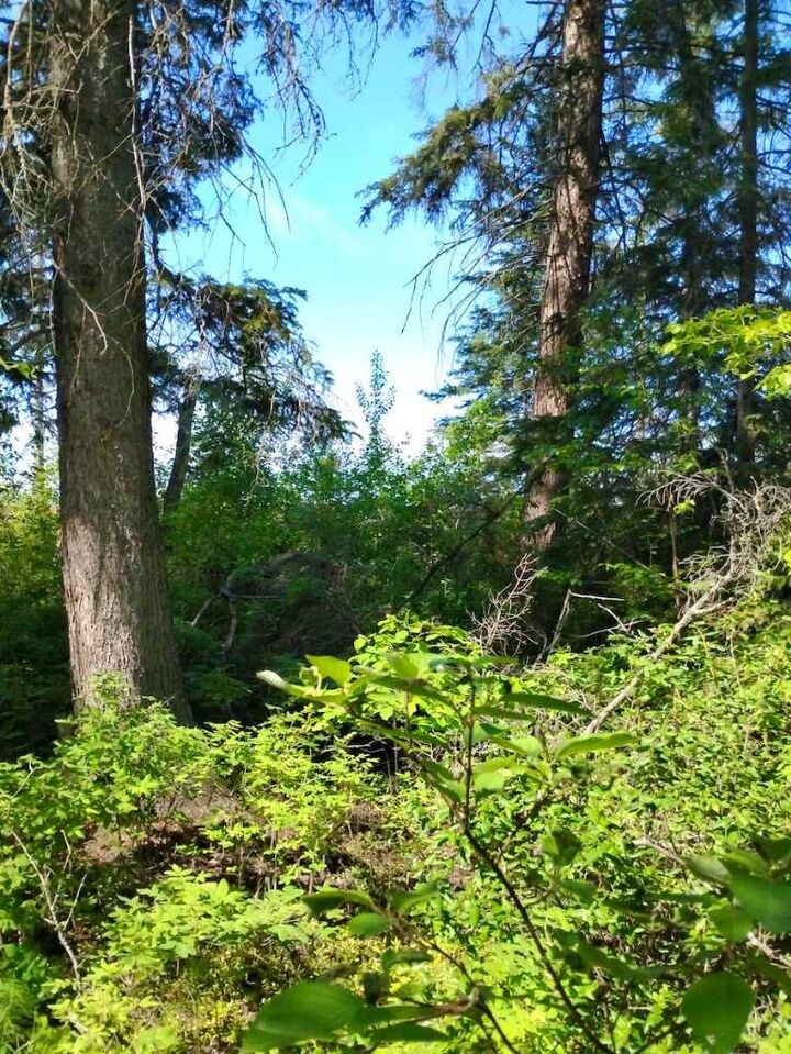 Property Photo: 4802 47 Ave AB T0H 1N0