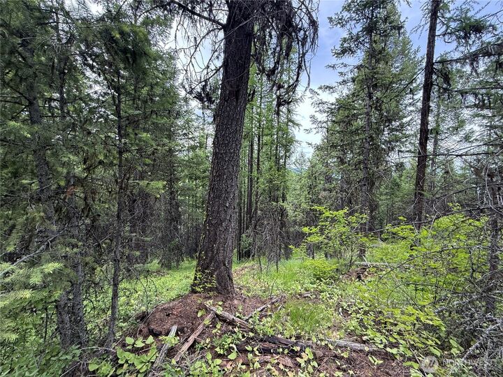 Property Photo: 0 Mule Deer Road WA 99166