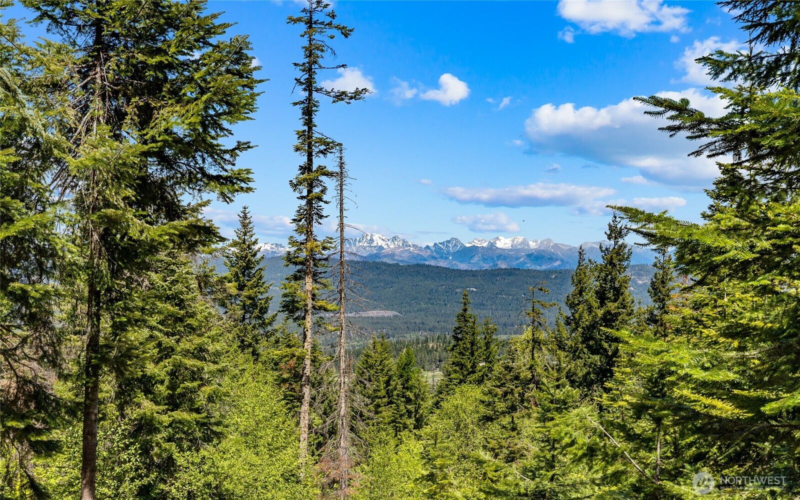 Property Photo:  2000  Rocky Mountain Way  WA 98922 