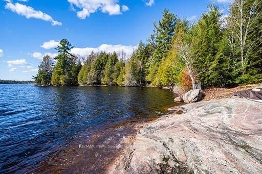 Property Photo:  764 East Bear Lake Road  ON P0A 1Y0 