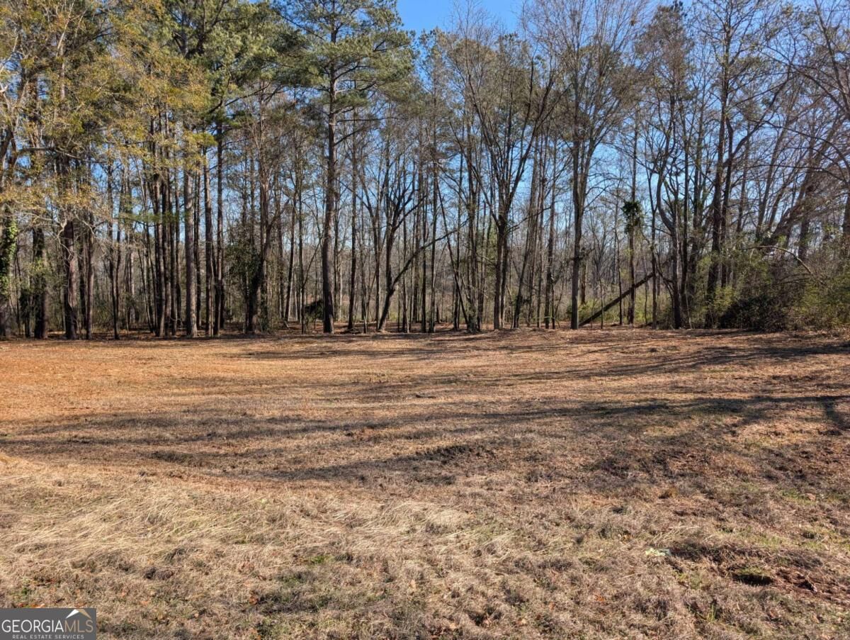 Property Photo: 123 Jones Street GA 30240
