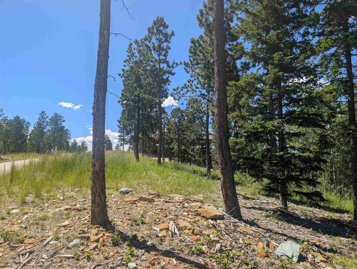 Property Photo:  Lot 22 Overlook Pass  SD 57754 