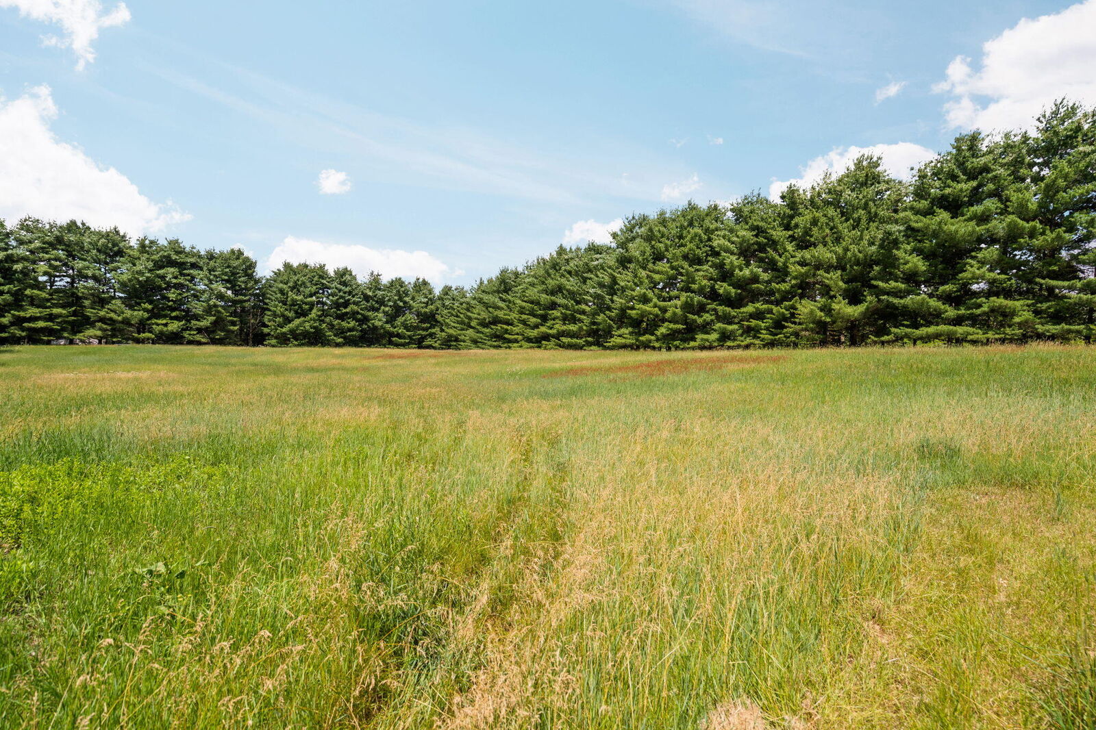Property Photo: 18250 Bush Road MI 48118