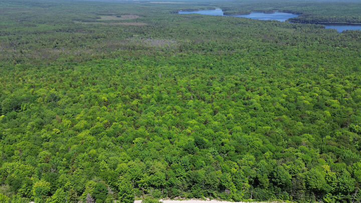 Property Photo: Lot 2 Martins Ridge Road ME 04634