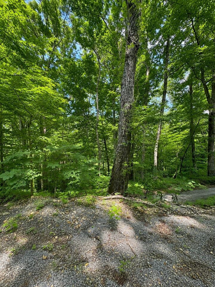 Property Photo:  0 Lakeside Dr  TN 37166 