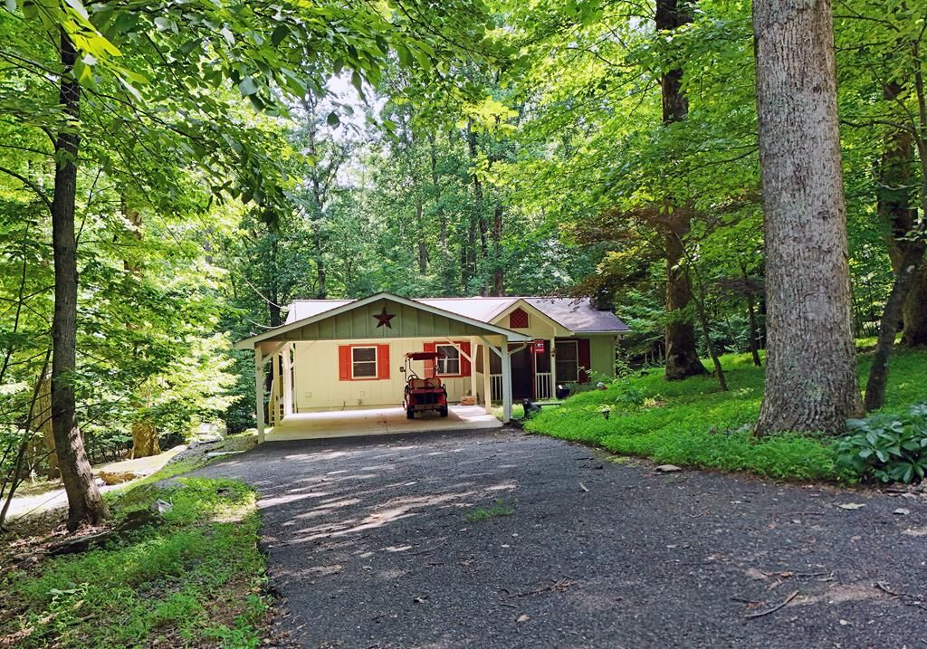 Property Photo:  439 Frost Pine Circle  GA 30143 