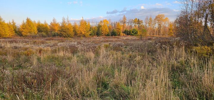 7888 Highway 354 — photo 1
