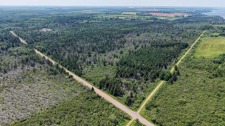Acreage Mill Road — photo 1