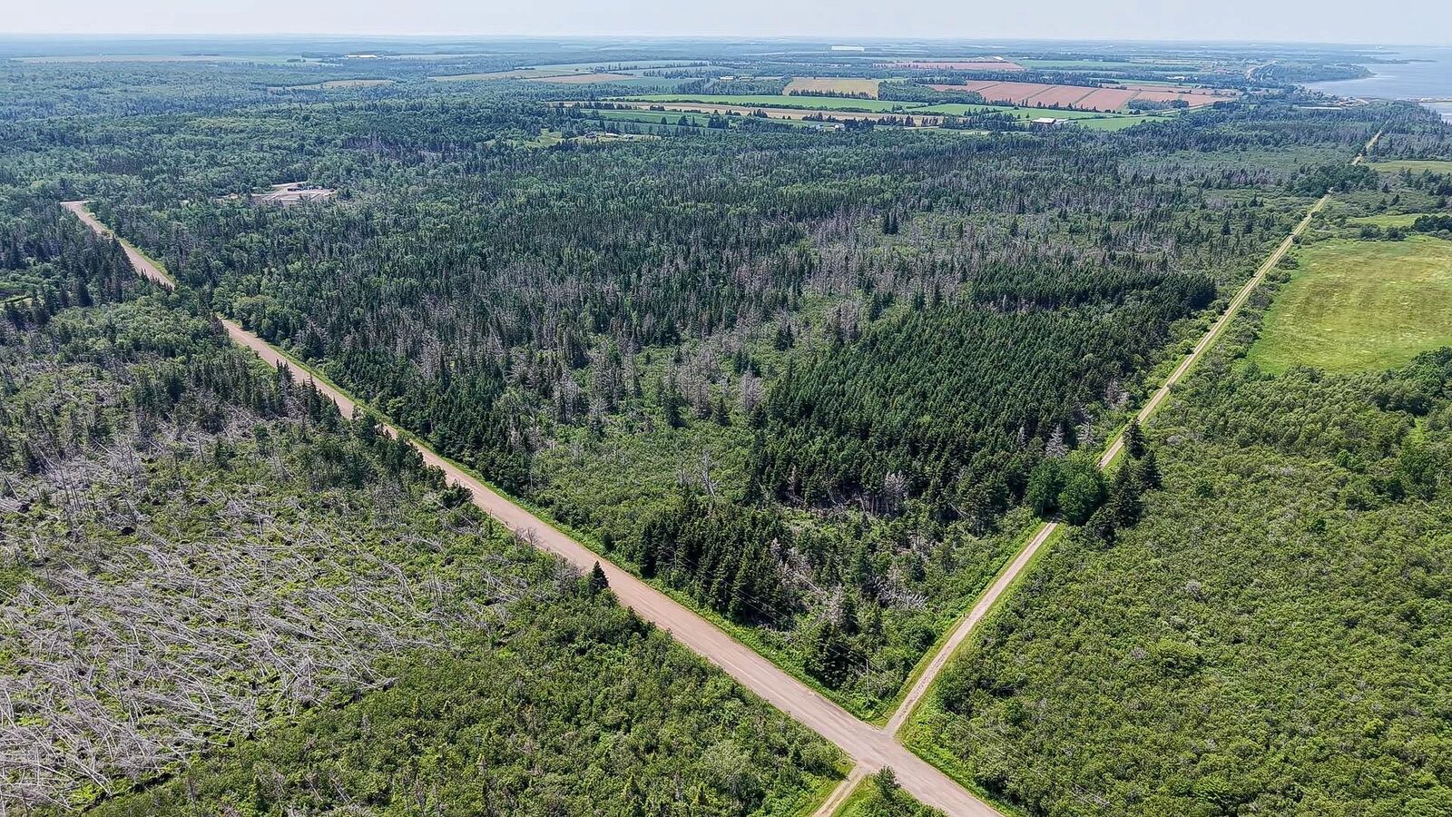 Property Photo: Acreage Mill Road PE C0A 2A0