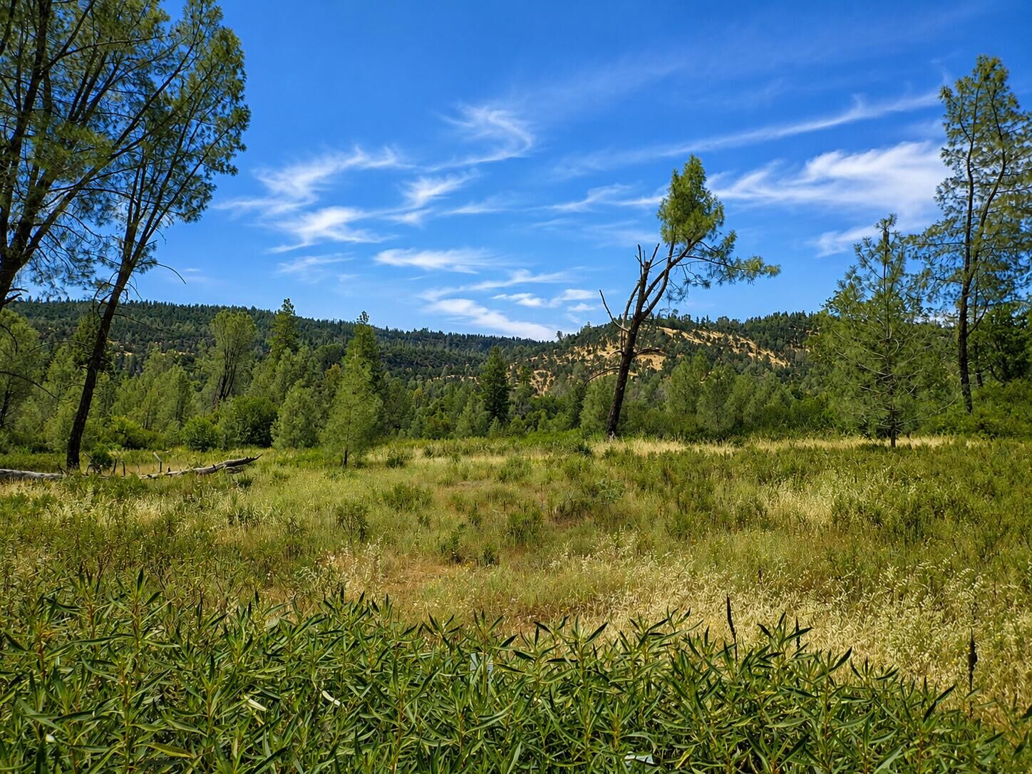Property Photo:  Battle View Drive  CA 96059 