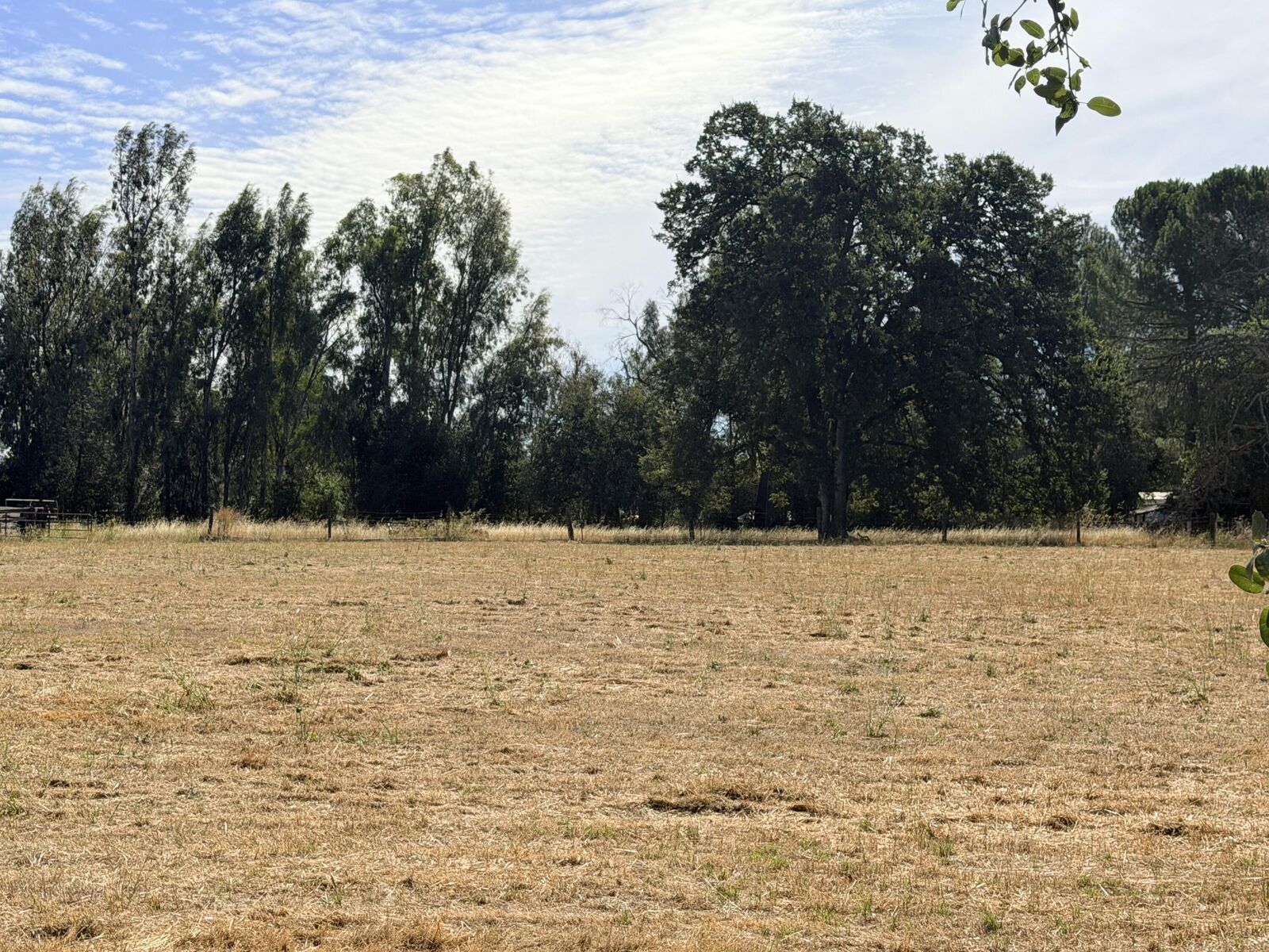 Property Photo:  Deschutes Road  CA 96073 