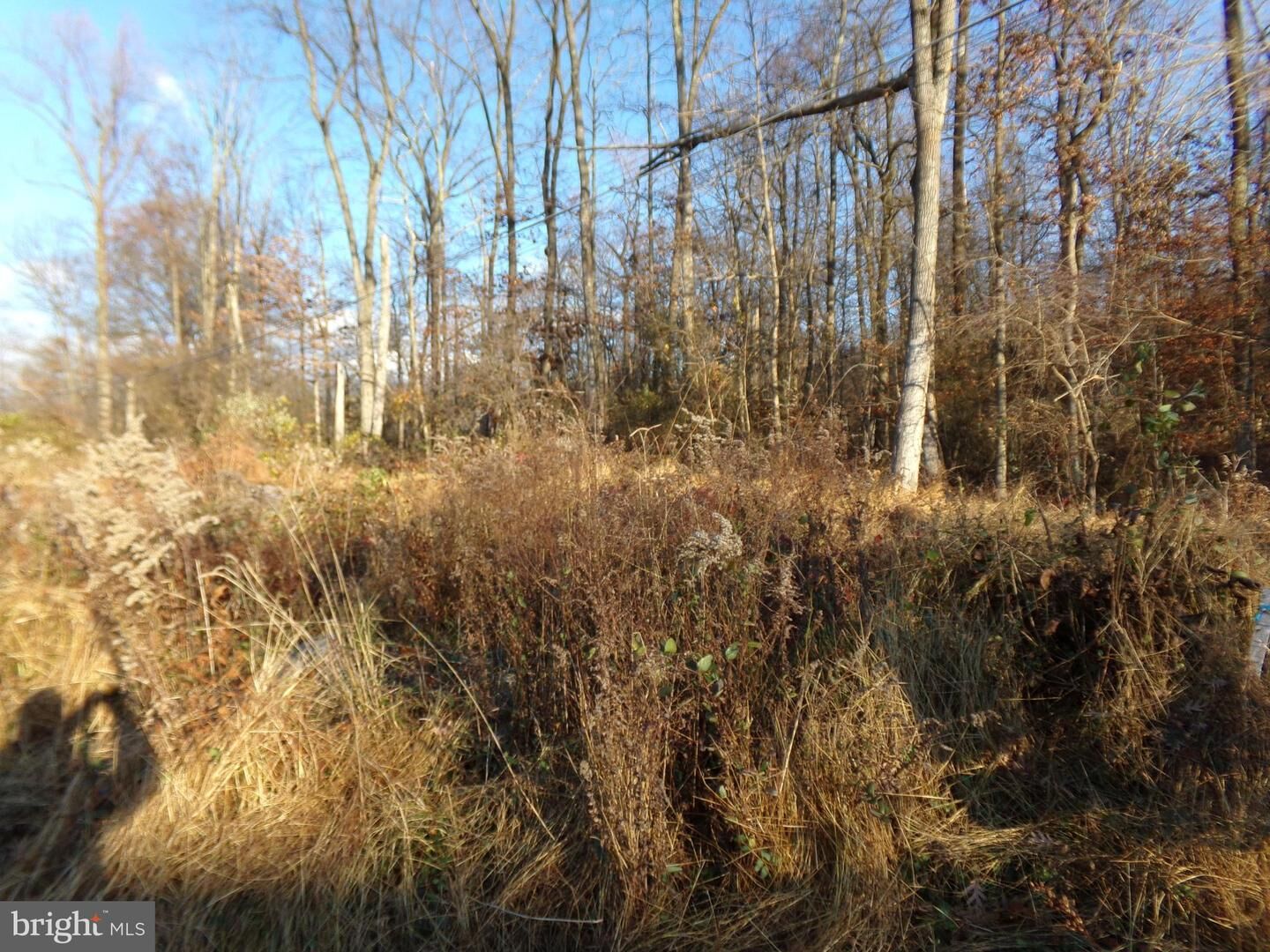 Property Photo: 0 Center Hill Road PA 18921