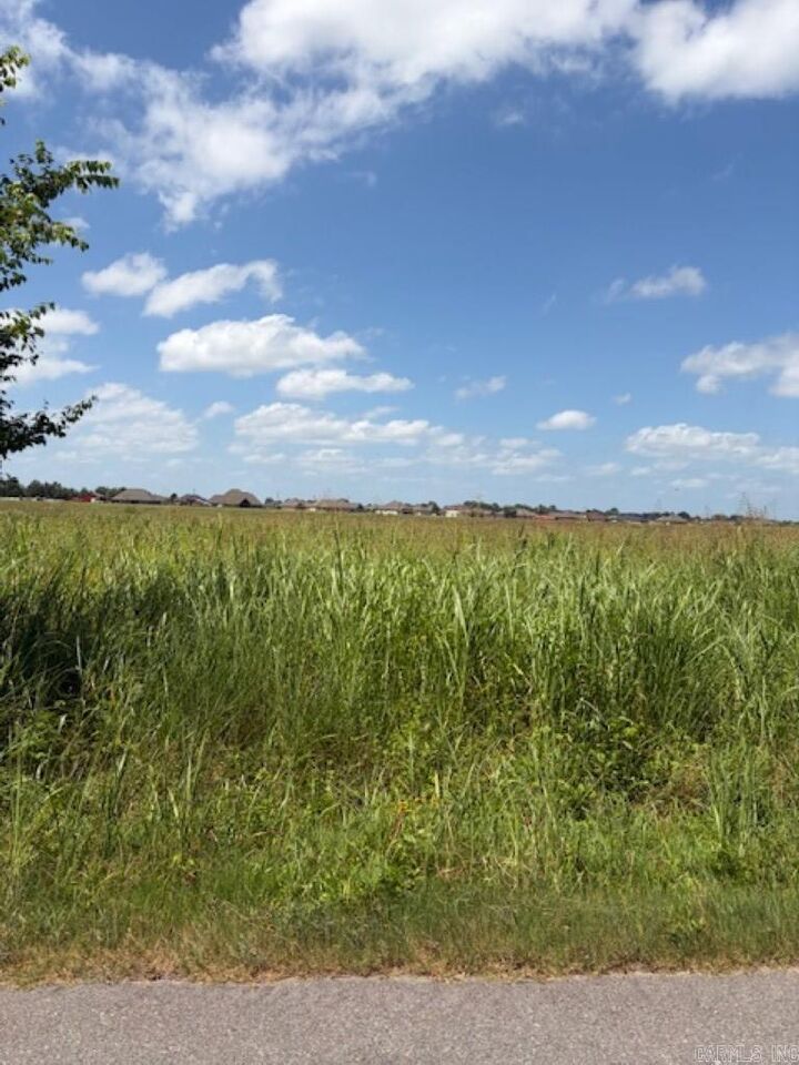 Property Photo: Lot 8 Upper Steel Bend Road AR 72142