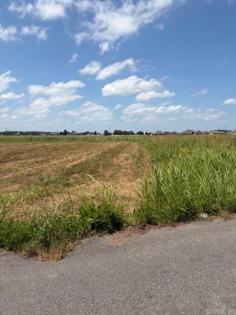 Property Photo: Lot 2 Upper Steel Bend Road AR 72142