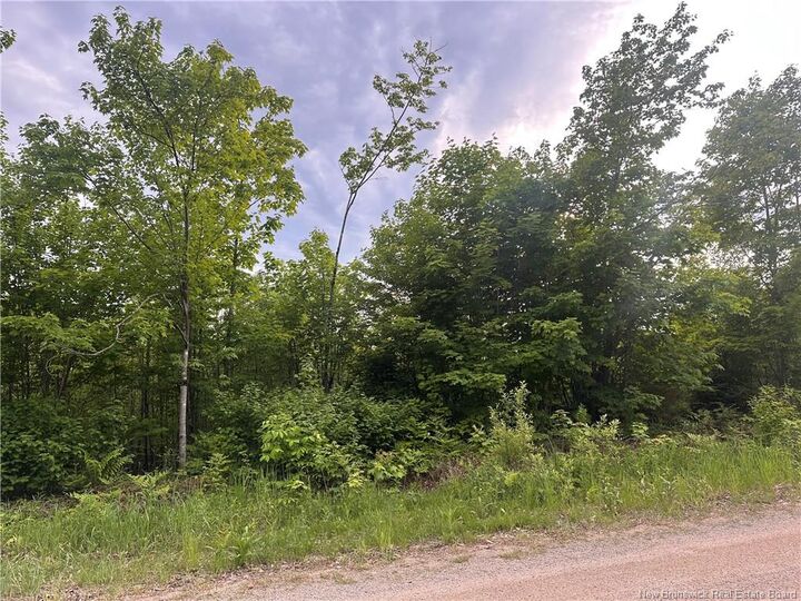 Property Photo:  Lot Tay Falls Road  NB E6L 2C6 