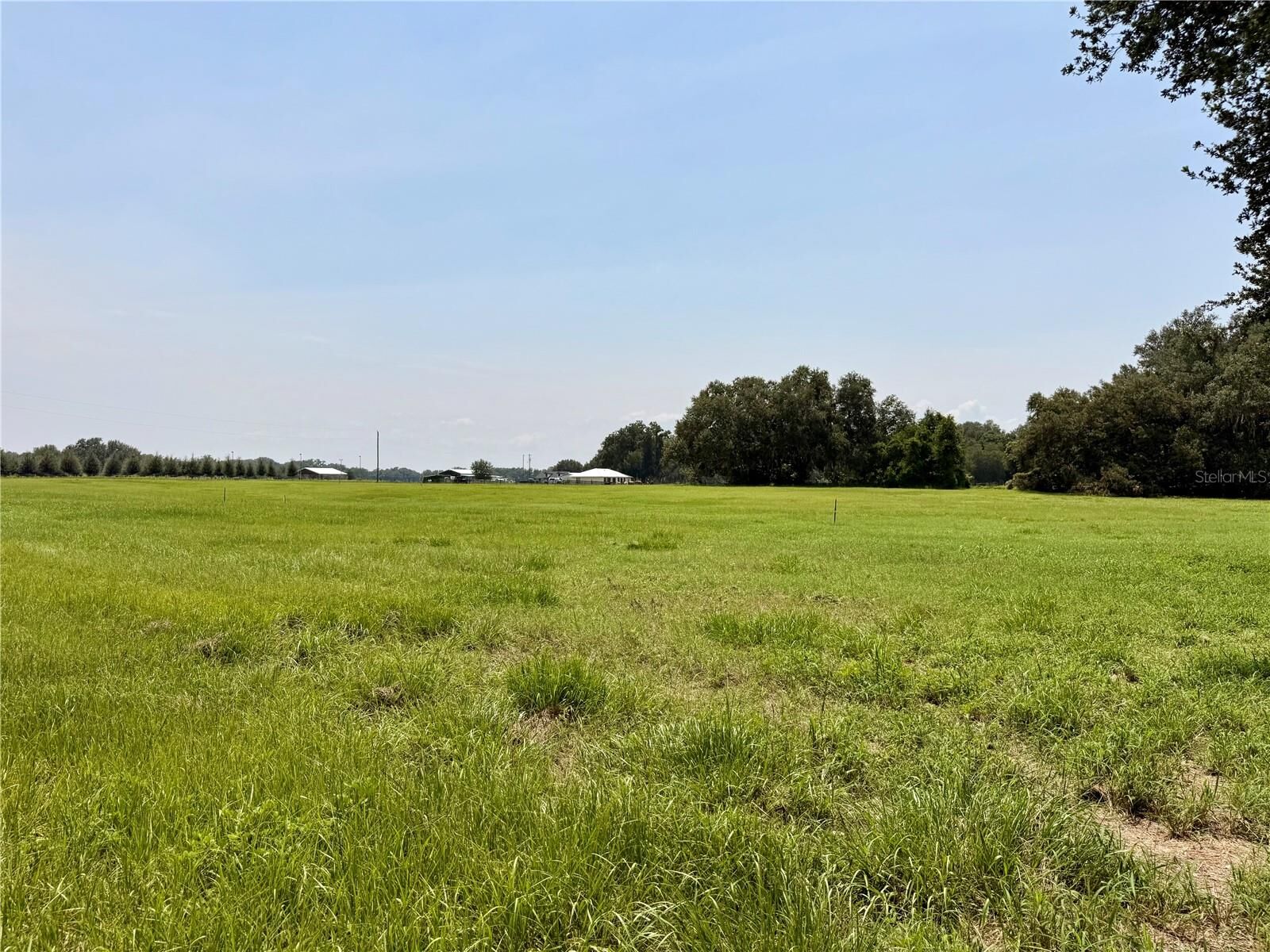 Property Photo:  Parcel 5 Cr 708  FL 33514 