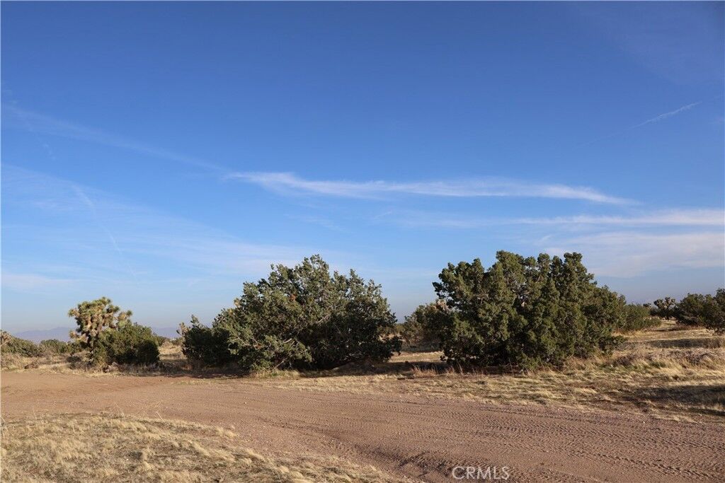 Property Photo:  9955 Macron Street  CA 92344 