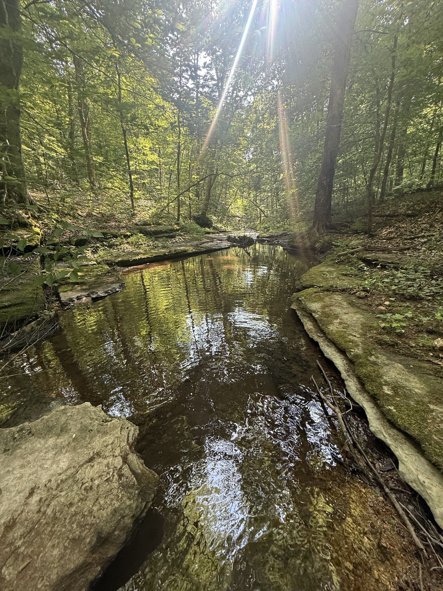 Property Photo:  0 Toll Hollow Rd  TN 38485 