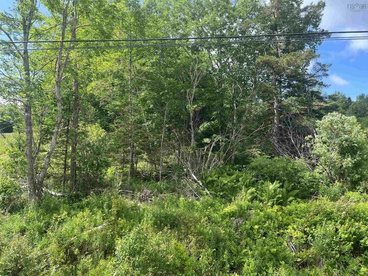 Property Photo:  Lot Highway 10  NS B0R 1H0 