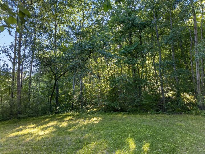 Property Photo: Tbd Hickory Lane MN 56450