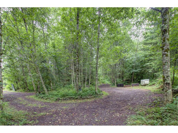 Property Photo:  1241 N Fork Rd  WA 98671 