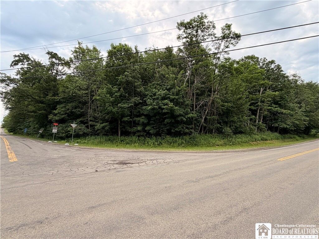 Property Photo:  0 Panama-Stedman Road  NY 14757 