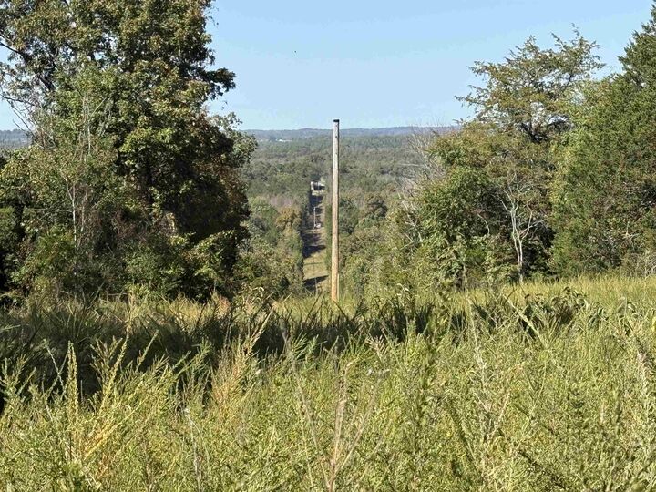 Property Photo: 196 Gorby Road AR 72519