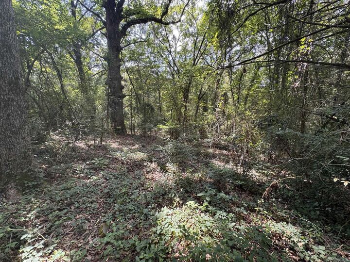 Property Photo:  000 N Montgomery Street  AR 72830 