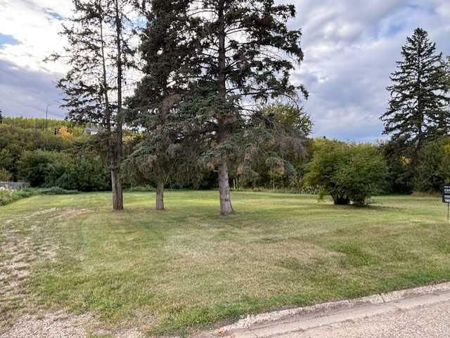 Property Photo: 10702 90 Street AB T8S 1N9