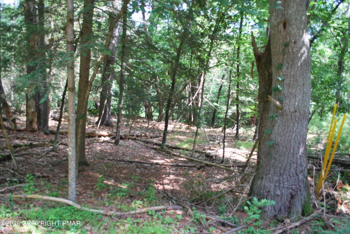Property Photo: Lot 54 Stony Hollow Circle PA 18302