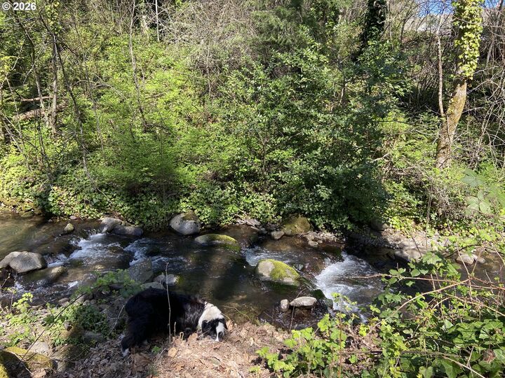 Property Photo:  460 NW Kanaka Creek Rd  WA 98648 