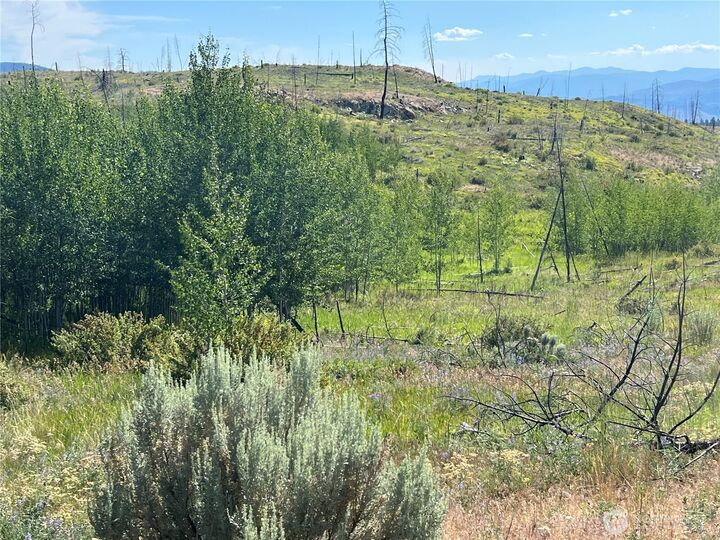 Property Photo: 0 Lot 12 Lone Spur Road WA 98844